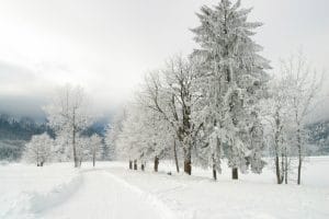 Winter is Coming – Let HCC Coders Help You Get Prepared